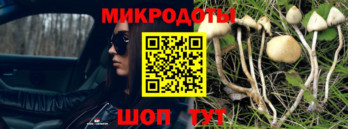 Псилоцибиновые грибы мухоморы Златоуст